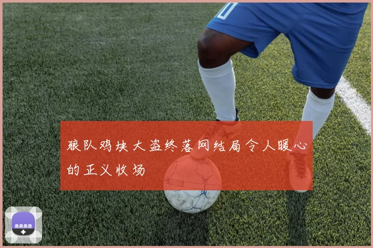 狼队鸡块大盗终落网结局令人暖心的正义收场