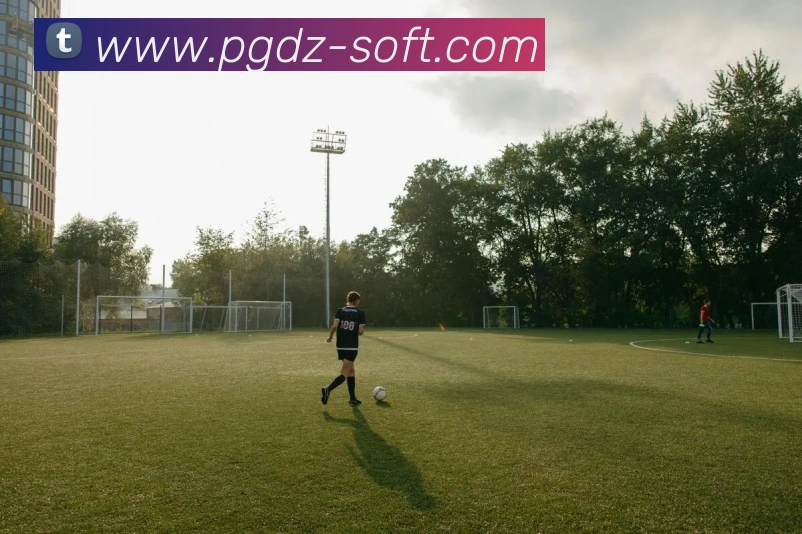 pg电子(PG SOFT)官方授权资讯服务中心服务体系