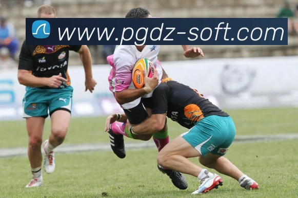 pg电子(PG SOFT)官方授权资讯服务中心全站App pg电子(PG SOFT)官方授权资讯服务中心全站App